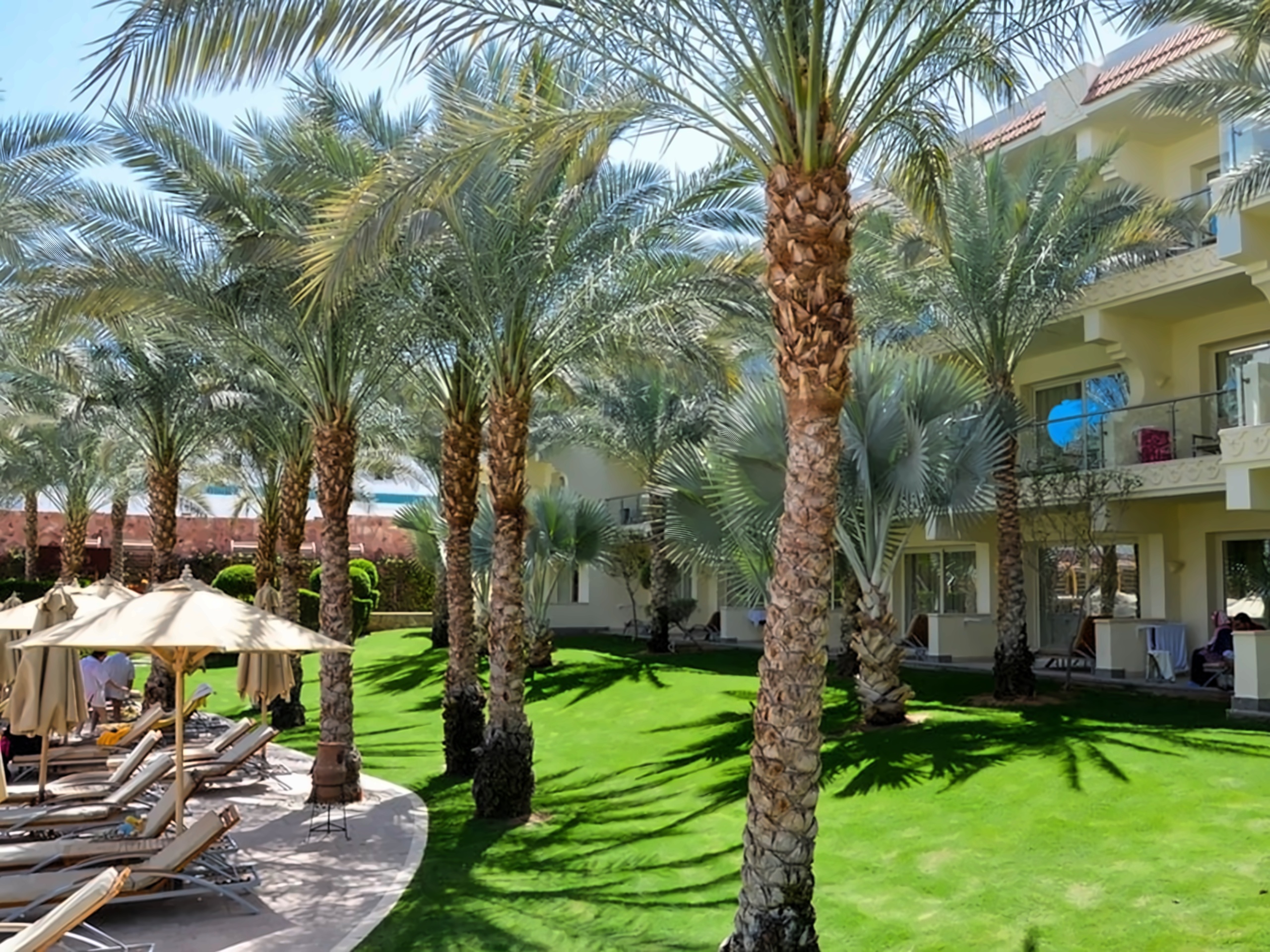 Xperience sea breeze шарм-эль-шейх. Xperience sea breeze resort 5 египет шарм-эль-шейх. Шарм-эль-шейх отель экспириенс си бриз. Отель xperience sea breeze resort. Экспириенс отель шарм-эль-шейх.